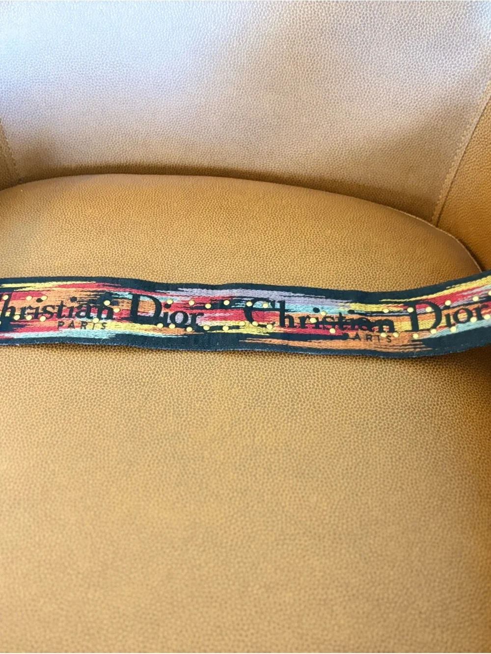 Dior Multicolor Strap with Gold Hardware and black leather